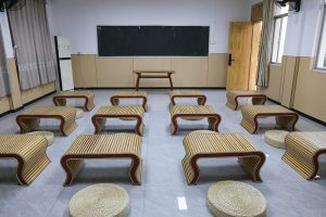 大湾区 5-12 岁儿童启蒙：国学 + 自然 + 中医，一站式养正‌