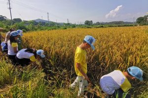暑期耕读国学夏令营